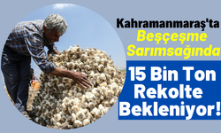 İl Tarım ve Orman Müdürü Ramazan Bilir: 'Türkiye'de sarımsak üretiminde Kahramanmaraş 3. sırada'