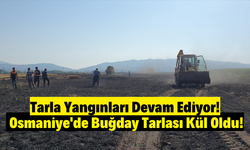 Yangınlar Bitmek Bilmiyor: Osmaniye'de 200 Dönüm Tarla Kül Oldu!