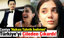Fatih Altaylı: 'Bir kadın cinayeti daha, komik bir ceza ile kapatıldı gitti'