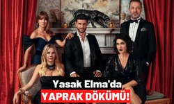 Yasak Elma Dizisinde Şok Ayrılık! İki Oyuncu Yeni Sezonda Olmayacak!