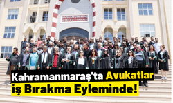 Kahramanmaraş'ta Avukatlar İstanbul'da Katledilen Meslektaşları İçin Eyleme Giriyor!