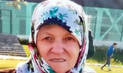 60 Yaşındaki Kadın, Kene Yüzünden Hayatını Kaybetti