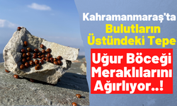 Kahramanmaraş'taki Uludaz Tepesi'ne Doğaseverler Ve Fotoğrafçılar Hayran Kalıyor!