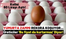 Yumurta Fiyatları Fırladı: Kolisi 60 Lirayı Geçti!