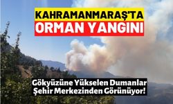 Kahramanmaraş'ta çok büyük orman yangını