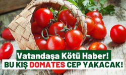Konserveleri Hazırlayın: Bu Kış Domatesin Fiyatı 50 Lira Olacak!