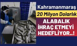 Ramazan Bilir: 'Kahramanmaraş, denizi olmamasına rağmen balıkçılık sektöründe söz sahibi bir il konumunda'