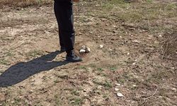 Kahramanmaraşlı Memili Balık’ın Su Tahminleri Yüzde 95 Doğru Çıkıyor!