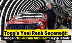 Togg'a Cumhurbaşkanı Erdoğan'ın İsteğiyle Yeşil Renk de Eklendi!