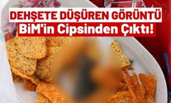 Bim'de Cips Skandalı: Paketten Çıkan Fare Ölüsü Mide Bulandırdı!