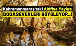 Kahramanmaraş'ın Akifiye Yaylası Sonbaharda Ziyaretçilerini Büyülüyor!