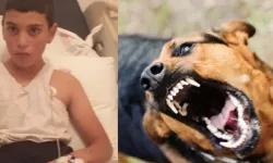 Köpek Isırmasıyla Kuduz Olan Çocuk Hala Yoğun Bakımda: Acılı Baba İlk Kez Anlattı!