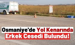 Osmaniye'de Yol Kenarında Bir Kişinin Cansız Bedeni Bulundu!