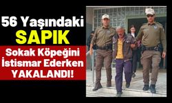 Köpeğe Tecavüz Ederken Yakalanan Sapığın Savunması Mide Bulandırdı!