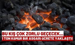 Vatandaşın Sobası Değil Cebi Yanıyor! Kömür Fiyatlarına Yüzde 300 Zam!