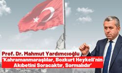 Mahmut Yardımcıoğlu: 'Bozkurt Heykeli Kahramanmaraş Kalesi’ne neden konulmuyor?'