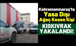 Kahramanmaraş'ta Yasa Dışı Ağaç Kesti, Yakalanacağını Anlayınca Aracını Bırakıp Kaçtı!