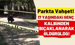 Parkta Kan Donduran Cinayet: Kalbinden Bıçaklanarak Öldürüldü!