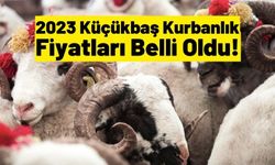 2023 Canlı Küçükbaş Kurbanlık Fiyatları Ne Kadar?