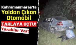 Kahramanmaraş'ta Tarlaya Uçan Otomobildeki 3 Kişi Yaralandı!