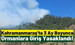Kahramanmaraş'ta Ormanlık Alanlara Giriş 3 Ay Yasaklandı!
