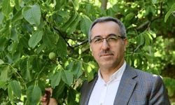 Hayrettin Güngör: 'Çağlayancerit cevizimiz AB coğrafi işaret tescili aldı'