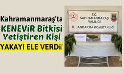 Kahramanmaraş'ta Bahçesinde Kenevir Yetiştiren Kişi Yakalandı!