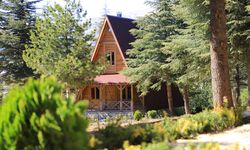 Kahramanmaraş'ta Yalnız Ardıç Bungalov Evleri Doğa Severleri Bekliyor!