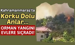 Kahramanmaraş'ta Orman Yangını Bağ Evlerine Sıçradı!