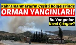 Kahramanmaraş'ta Her Gün Ormanlar Yanıyor! 28 Hektar Ormanlık Alan Kül Oldu!