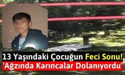13 Yaşındaki Çocuk Parkta Feci Halde Bulundu! Üzerini Karıncalar Basmış!