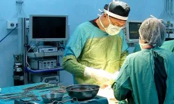 Tıp Dünyası Şokta! Hastanın Beyninden 8 Santim Canlı Solucan Çıkartıldı!
