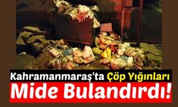 Kahramanmaraş'ta Alınmayan Çöpler, Mide Bulandırıyor!