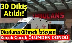 Konya'da Küçük Çocuk Okula Giderken Köpeklerin Saldırısına Uğradı!
