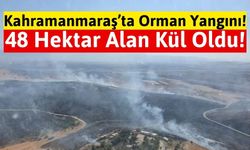 Kahramanmaraş'ta Orman Yangını 3 Saatlik Çalışmayla Söndürüldü!