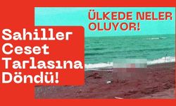 Sahiller Ceset Tarlasına Döndü: Antalya'da Üç Günde 3'üncü Ceset!
