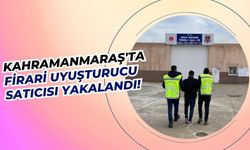 Kahramanmaraş'ta Jandarma, Firari Zehir Tacirini Kıskıvrak Yakaladı!