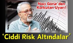 Naci Görür: Tunceli ve Bingöl Büyük Deprem Riskinde!