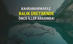 Kahramanmaraş'ta Balıkçılık Sektörü Yeniden Ayağa Kalkıyor!