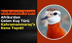 Kahramanmaraş'a Korkunç Uyarı: Afrika'dan Gelen Kuş Suratında Keneyle Görüldü!