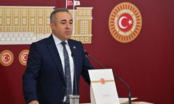 Kahramanmaraş Milletvekili Karatutlu: 'Depremzedelerin İşten Çıkartılması Yanlış'