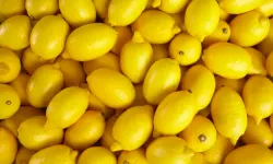 C Vitamini Deposu Limon Aynı Zamanda Gençlik İksiri Kolajenin Saklı Hazinesi!