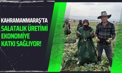 Kahramanmaraş'ta Salatalık Bereketi: 35 Bin Ton Rekolte ve Yüksek Fiyatlar!