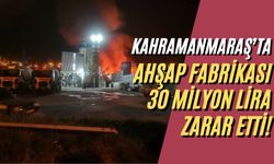 Kahramanmaraş'ta Yıldırım Faciası, Fabrikayı 30 Milyon Lira Zarar Çıktı!