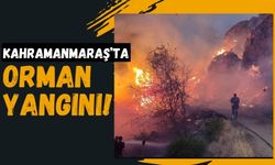 Kahramanmaraş Elbistan'da Orman Yangını Paniği!