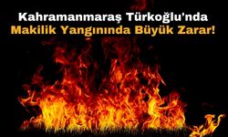 Kahramanmaraş'ta Makilik Alanda Yangın: 10 Hektar Kül Oldu!