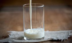 Günde 1 Bardak İçilmeli: Sütün Sağlığa Faydaları Neler? Süt Tüketiminin Önemi