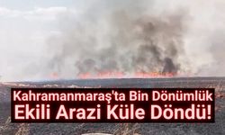 Kahramanmaraş'ta Büyük Yangın: 1000 Dönümlük Ekili Alan Kül Oldu!
