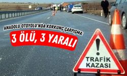 Anadolu Otoyolu'nda Feci Kaza: Hafif Ticari Araç ve Minibüs Çarpıştı, 3 Kişi Hayatını Kaybetti!