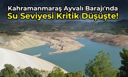 Kahramanmaraş Ayvalı Barajı'nda Düşük Su Seviyesi Alarmı!